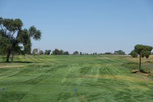 Silver Sage 14th
